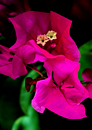 Bild 05