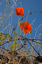 Bild 06