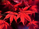 Bild 08