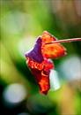 Bild 04